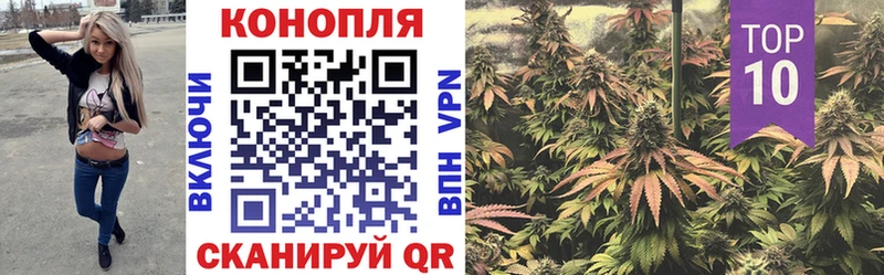Как найти наркотики Кувшиново КЕТАМИН  Альфа ПВП  Бутират  ГАШ  Конопля 