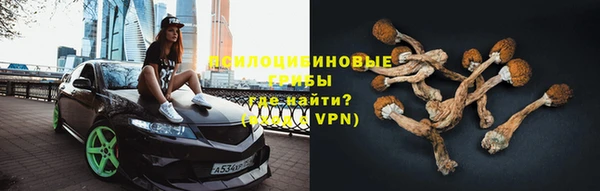 Альфа ПВП Белокуриха