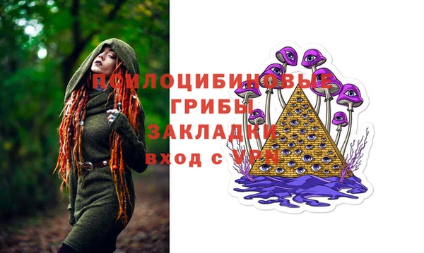 Альфа ПВП Белокуриха