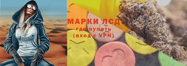 стаф Баксан