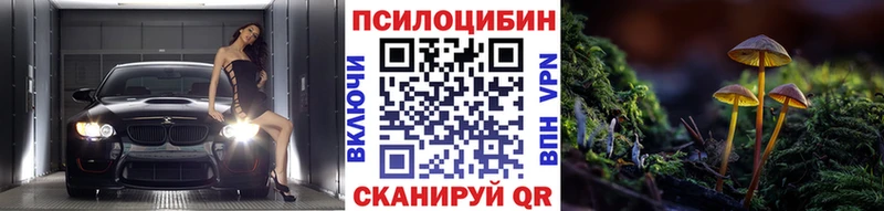 магазин  наркотиков  Кувшиново  Псилоцибиновые грибы ЛСД 